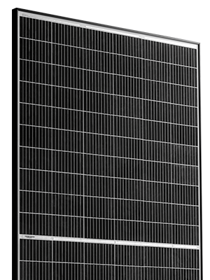 Risen RSM120-6-340 -aurinkopaneeli valkoisella taustalla